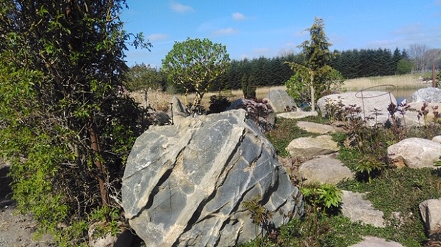 Danske Seniorer Skibby besøger Zen-Garden og ser på stenbedsplanter